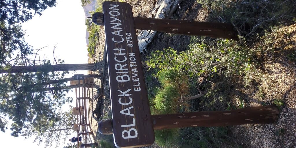 Black Birch Canyon