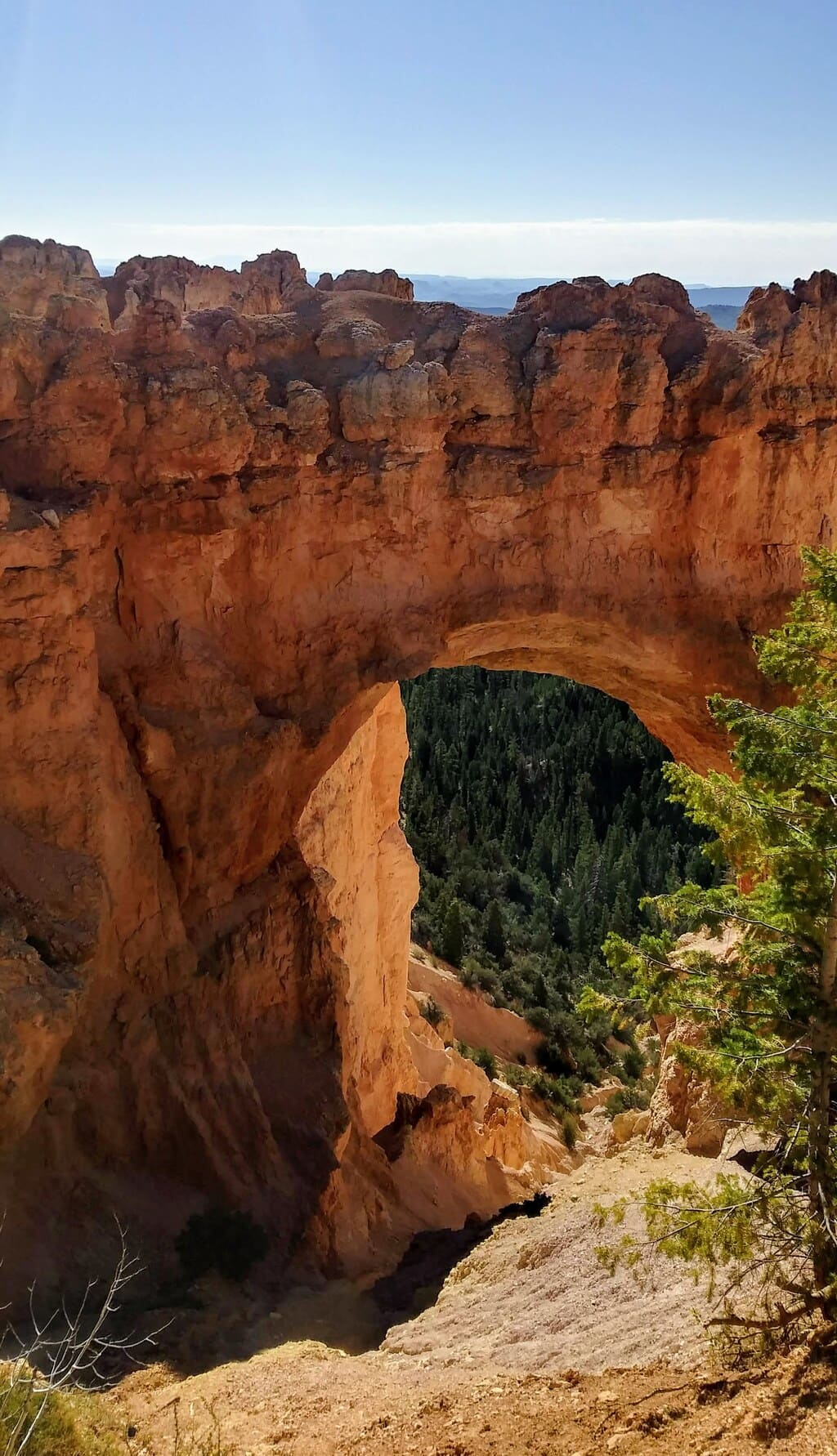 Natural Bridge