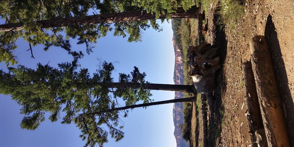 Farview Point